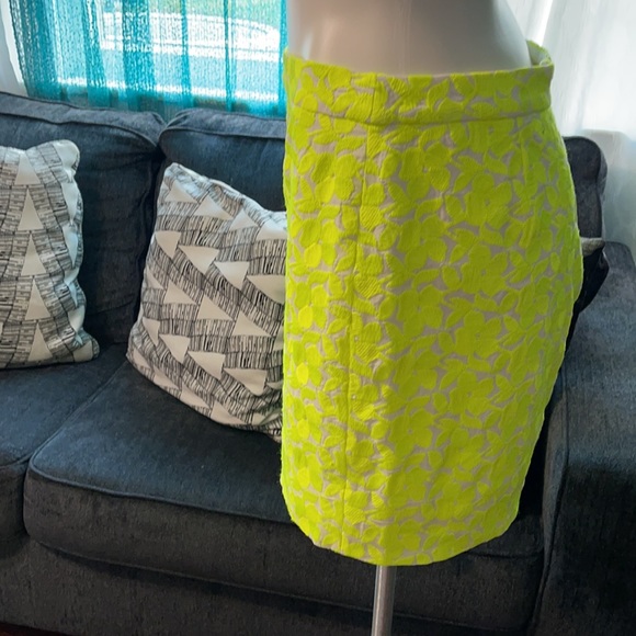 J. Crew Skirt Sz 6 - Picture 2 of 4